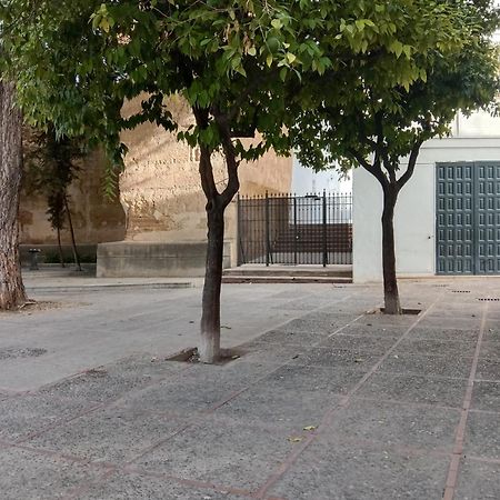 Casa Mnuela - Centro Jerez - Parking Opcional Daire Jerez de la Frontera Dış mekan fotoğraf