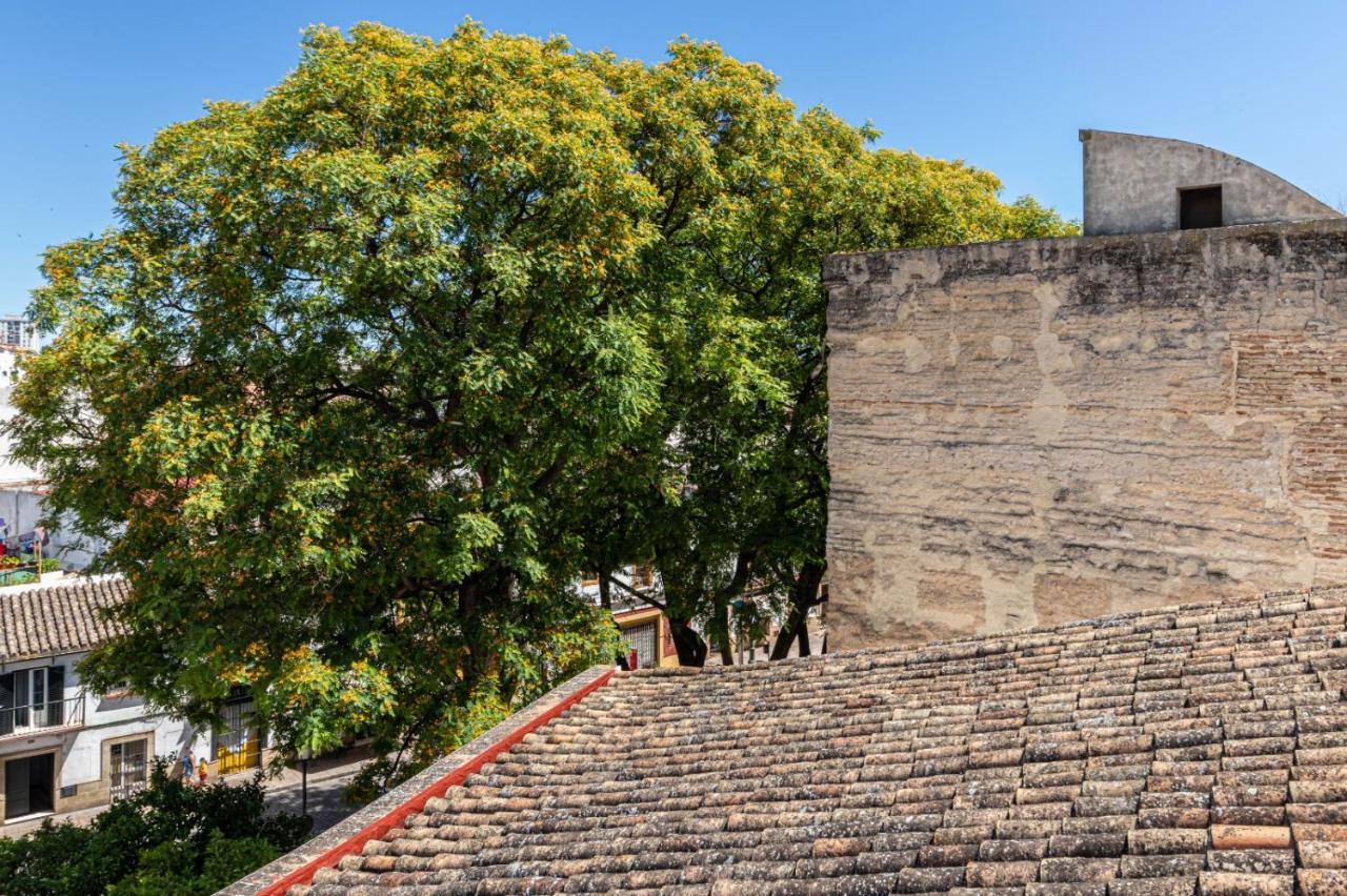 Casa Mnuela - Centro Jerez - Parking Opcional Daire Jerez de la Frontera Dış mekan fotoğraf