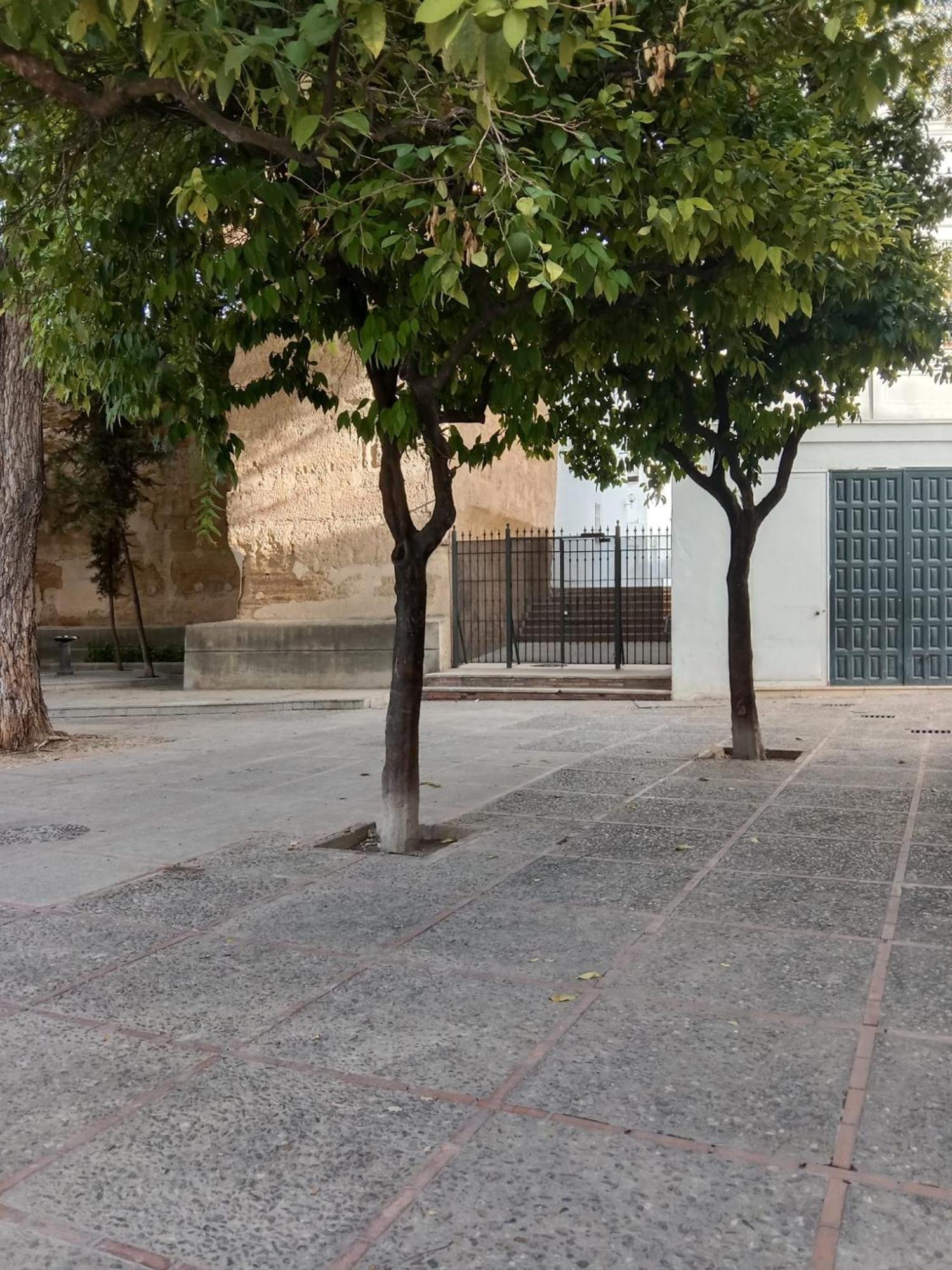 Casa Mnuela - Centro Jerez - Parking Opcional Daire Jerez de la Frontera Dış mekan fotoğraf